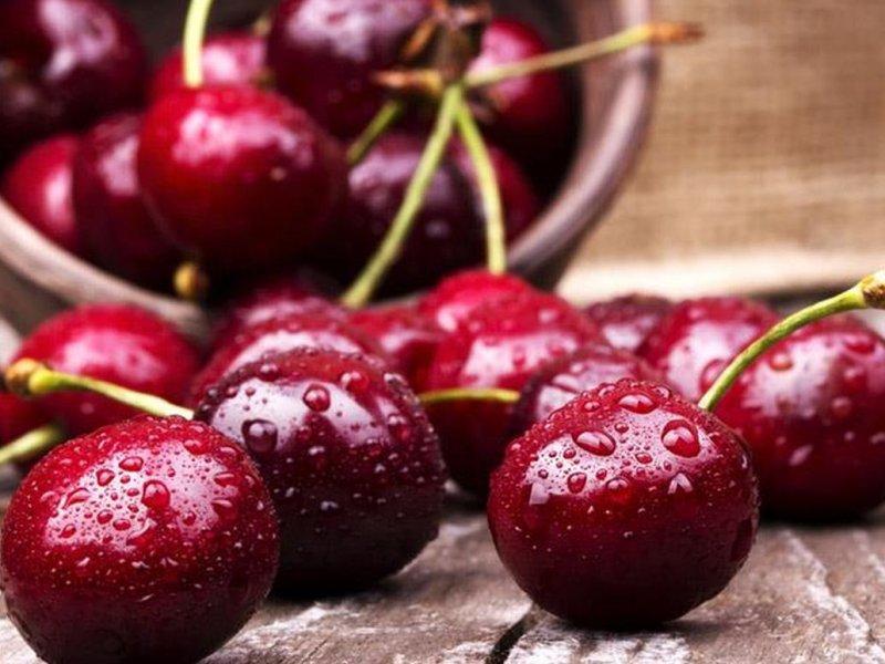 Вишня купить саженцы из питомника в Лысьве